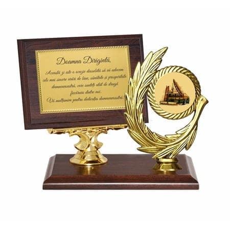 Trofeu diriginta, maro cu auriu, 3 componente