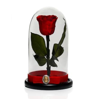 Trandafir criogenat in cupola de sticla 25 cm si brosa Camee, Rosu, Star Decor